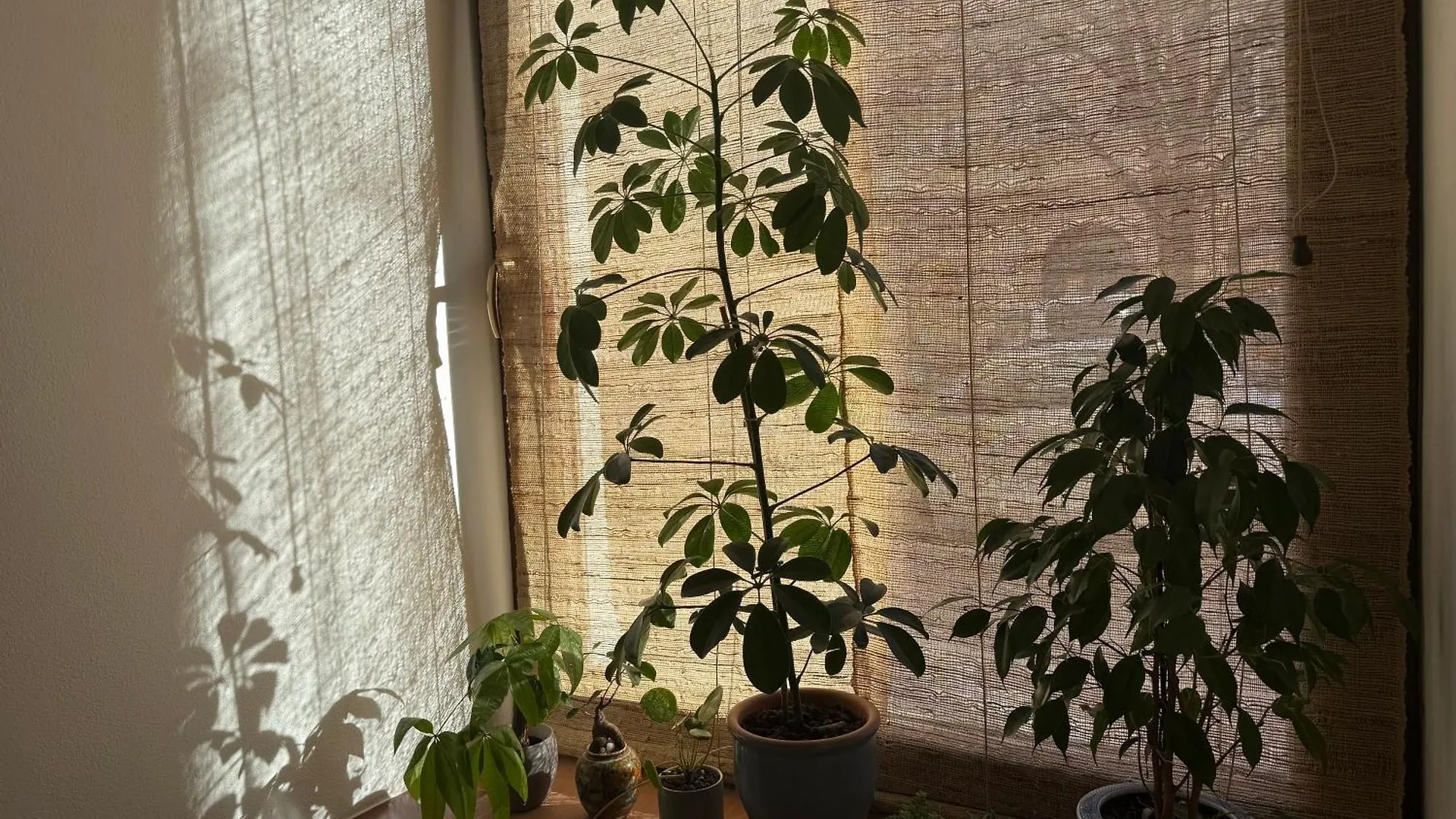 Appartamento Bamboo Praga